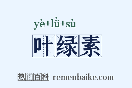 叶绿素是什么意思的图片